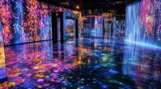 teamLab 無界 — 台北特展